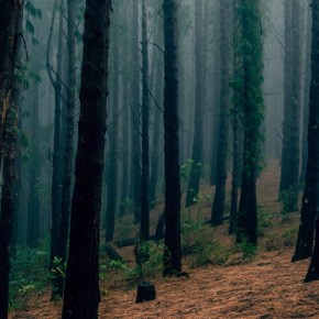 School’s Out – Day&nbsp;12