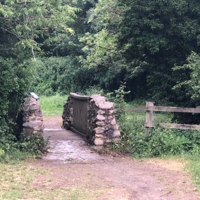 School’s Out – Day&nbsp;46