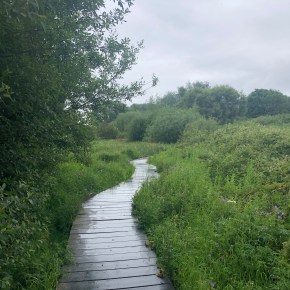 School’s Out – Day&nbsp;48