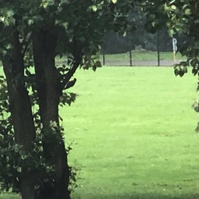 School’s Out – Day&nbsp;54