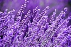 It’s Summer – Day 38 &&nbsp;39