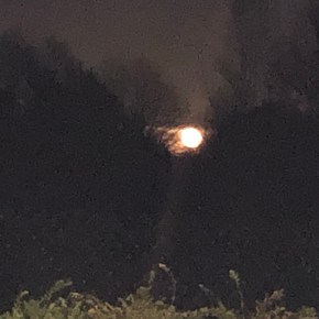 All in a&nbsp;day…