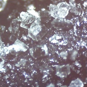 If you’re in the&nbsp;room…