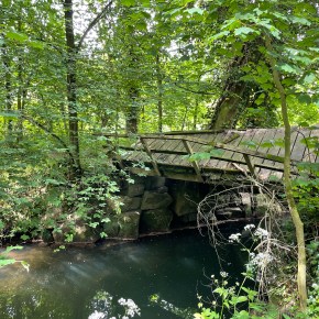 Why are we&nbsp;here?