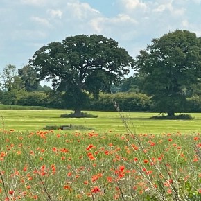 Care Enough to Find the&nbsp;Solution