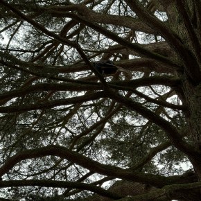 Only Connect – You’ll go&nbsp;further